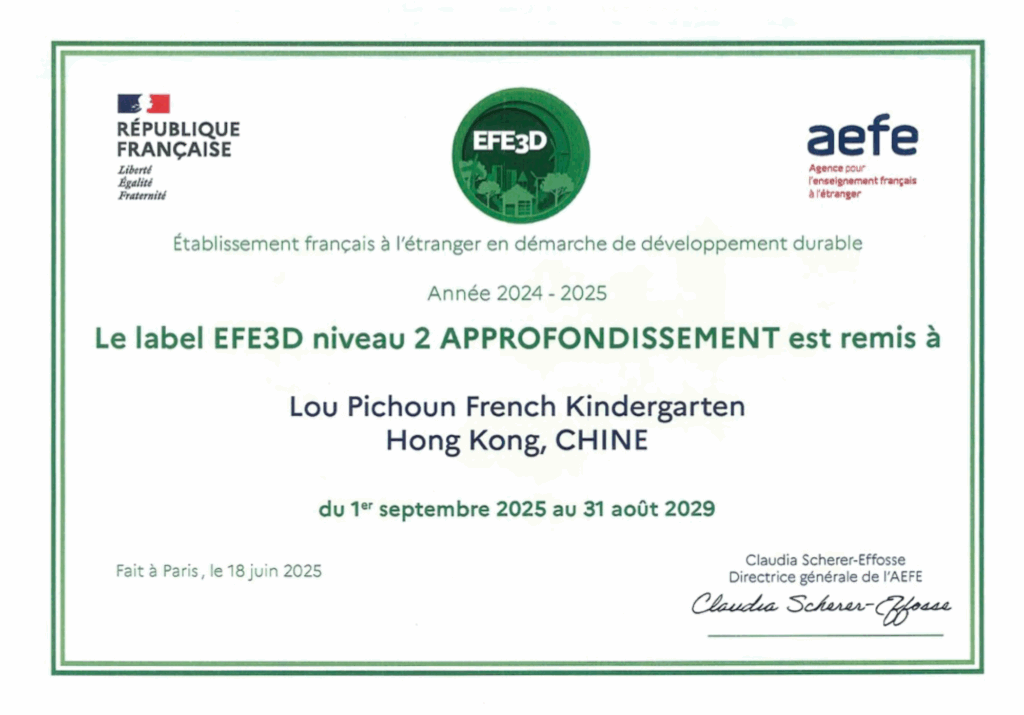 EFE3D certificate LP retouched